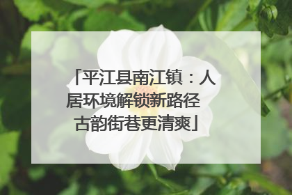 平江县南江镇：人居环境解锁新路径 古韵街巷更清爽