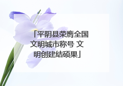平阴县荣膺全国文明城市称号 文明创建结硕果