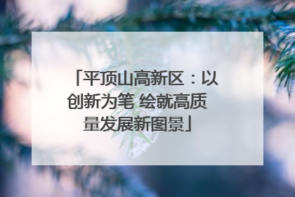 平顶山高新区：以创新为笔 绘就高质量发展新图景