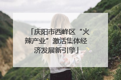 庆阳市西峰区“火辣产业”激活集体经济发展新引擎