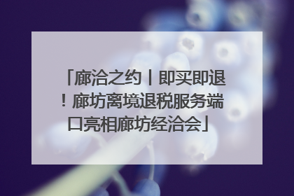 廊洽之约丨即买即退！廊坊离境退税服务端口亮相廊坊经洽会
