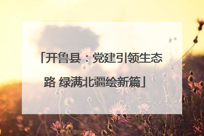 开鲁县：党建引领生态路 绿满北疆绘新篇