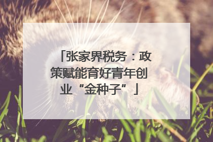 张家界税务：政策赋能育好青年创业“金种子”