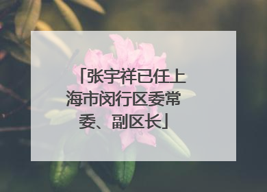 张宇祥已任上海市闵行区委常委、副区长