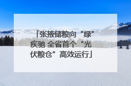 张掖储粮向“绿”疾驰 全省首个“光伏粮仓”高效运行
