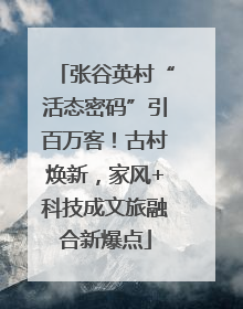 张谷英村“活态密码”引百万客！古村焕新，家风+科技成文旅融合新爆点