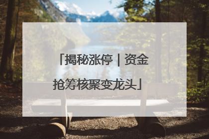 揭秘涨停｜资金抢筹核聚变龙头