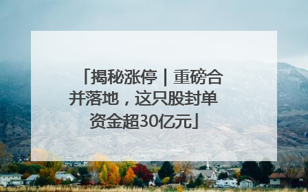 揭秘涨停｜重磅合并落地，这只股封单资金超30亿元