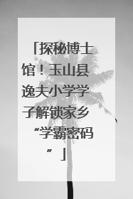 探秘博士馆！玉山县逸夫小学学子解锁家乡“学霸密码”
