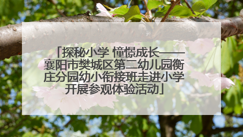 探秘小学 憧憬成长——襄阳市樊城区第二幼儿园衡庄分园幼小衔接班走进小学开展参观体验活动
