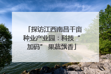 探访江西南昌千亩种业产业园：科技“加码” 果蔬飘香