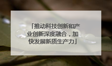 推动科技创新和产业创新深度融合，加快发展新质生产力