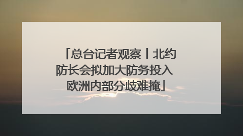 总台记者观察丨北约防长会拟加大防务投入 欧洲内部分歧难掩