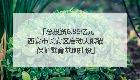 总投资6.86亿元 西安市长安区启动大熊猫保护繁育基地建设