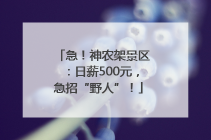 急！神农架景区：日薪500元，急招“野人”！