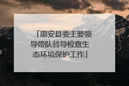 惠安县委主要领导带队督导检查生态环境保护工作