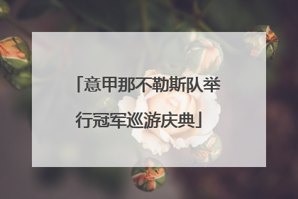 意甲那不勒斯队举行冠军巡游庆典