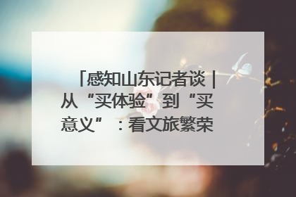 感知山东记者谈｜从“买体验”到“买意义”：看文旅繁荣背后的幸福新定义