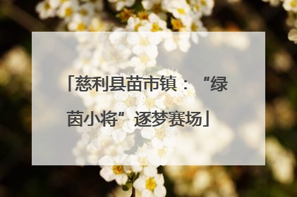 慈利县苗市镇：“绿茵小将”逐梦赛场