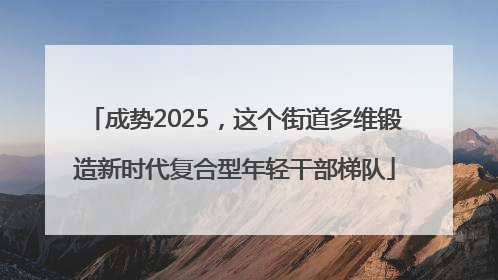 成势2025，这个街道多维锻造新时代复合型年轻干部梯队