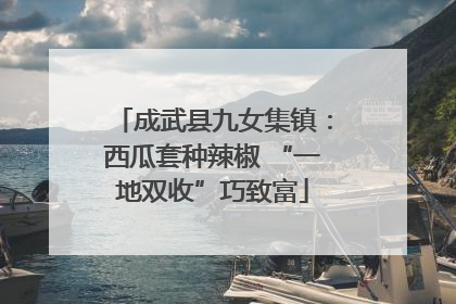 成武县九女集镇：西瓜套种辣椒 “一地双收”巧致富