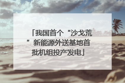 我国首个“沙戈荒”新能源外送基地首批机组投产发电