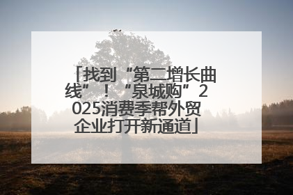 找到“第二增长曲线”！“泉城购”2025消费季帮外贸企业打开新通道