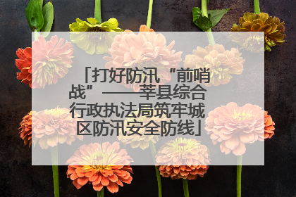 打好防汛“前哨战”——莘县综合行政执法局筑牢城区防汛安全防线