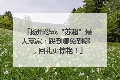 扬州恐成“苏超”最大赢家：踢到哪免到哪，回礼更惊艳！