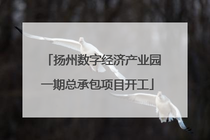 扬州数字经济产业园一期总承包项目开工