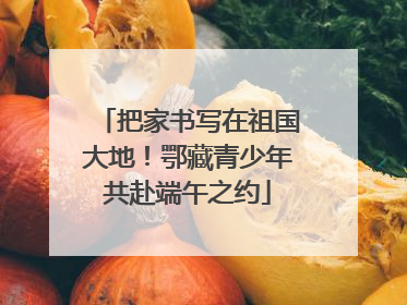 把家书写在祖国大地！鄂藏青少年共赴端午之约