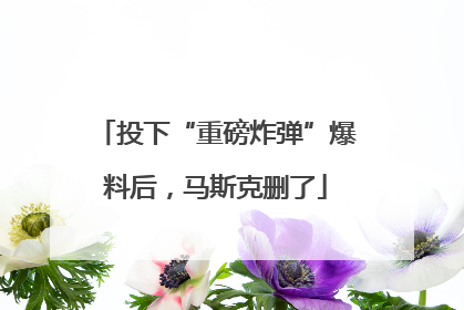 投下“重磅炸弹”爆料后，马斯克删了