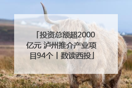 投资总额超2000亿元 泸州推介产业项目94个丨数读西投