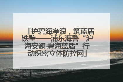 护碧海净浪，筑蓝盾铁壁——浦东海警“沪海安澜·碧海蓝盾”行动织密立体防控网