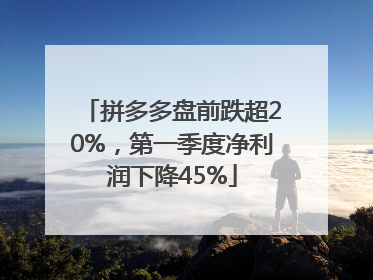 拼多多盘前跌超20%，第一季度净利润下降45%