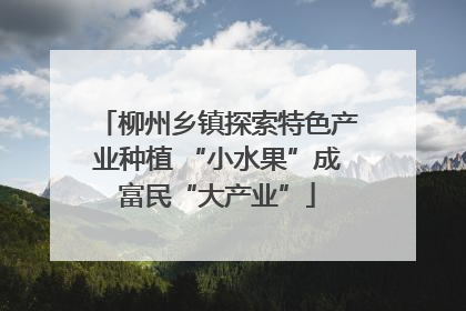 柳州乡镇探索特色产业种植 “小水果”成富民“大产业”