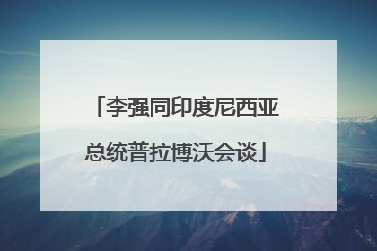 李强同印度尼西亚总统普拉博沃会谈