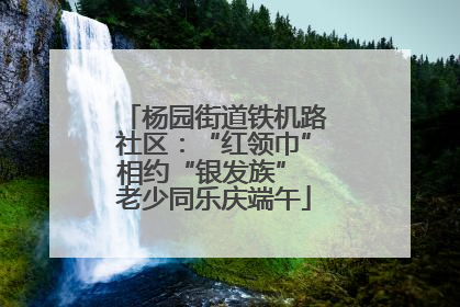 杨园街道铁机路社区：“红领巾”相约“银发族” 老少同乐庆端午