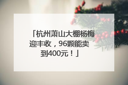 杭州萧山大棚杨梅迎丰收，96颗能卖到400元！