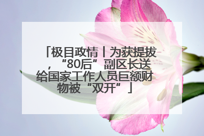 极目政情丨为获提拔，“80后”副区长送给国家工作人员巨额财物被“双开”
