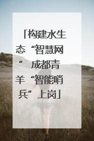 构建水生态“智慧网” 成都青羊“智能哨兵”上岗
