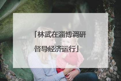 林武在淄博调研督导经济运行