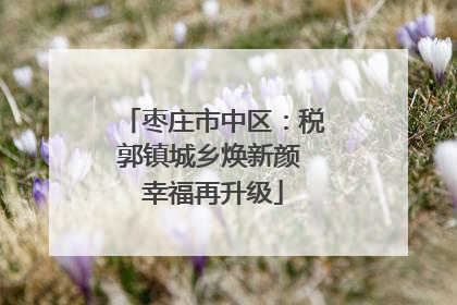 枣庄市中区：税郭镇城乡焕新颜 幸福再升级