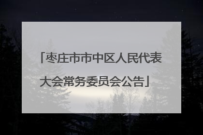 枣庄市市中区人民代表大会常务委员会公告