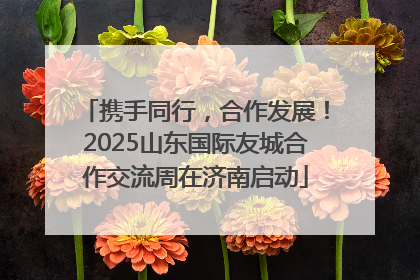 携手同行，合作发展！2025山东国际友城合作交流周在济南启动