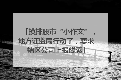 摸排股市“小作文”，地方证监局行动了，要求辖区公司上报线索