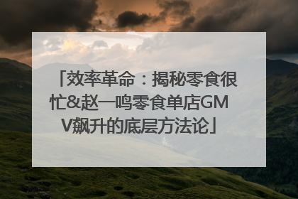 效率革命：揭秘零食很忙&赵一鸣零食单店GMV飙升的底层方法论
