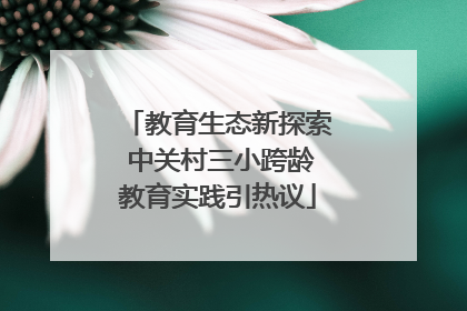 教育生态新探索 中关村三小跨龄教育实践引热议