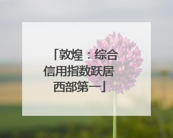 敦煌：综合信用指数跃居西部第一