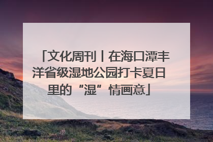 文化周刊丨在海口潭丰洋省级湿地公园打卡夏日里的“湿”情画意